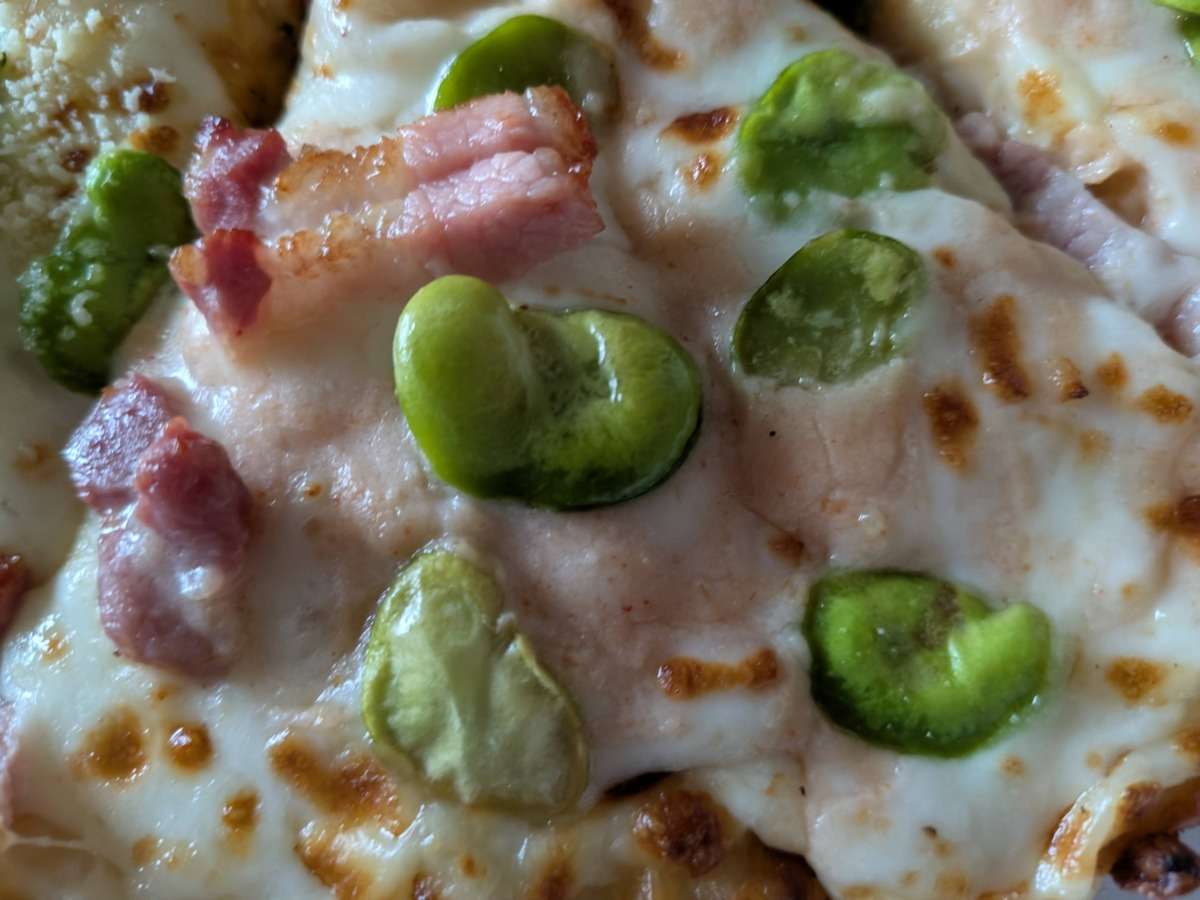 「パンチェッタとそら豆の桜えびソース」のそら豆